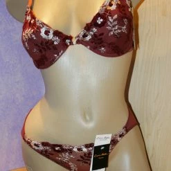 Lingerie Carrie Amber Embroidered Bra Set