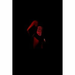 Elegant Moments Lingerie Black Light Receptive Mesh Lace Up Teddy