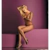 Fantasy Lingerie Fishnet Open Crotch Bodystocking