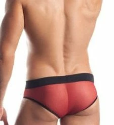 Fantasy Lingerie Red Mesh Briefs With Contrast Waistband