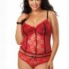 Dreamgirl Plus Size Stretch Lace Bustier With Panty
