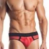 Fantasy Lingerie Red Mesh Briefs With Contrast Waistband