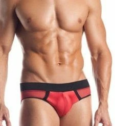 Fantasy Lingerie Red Mesh Briefs With Contrast Waistband